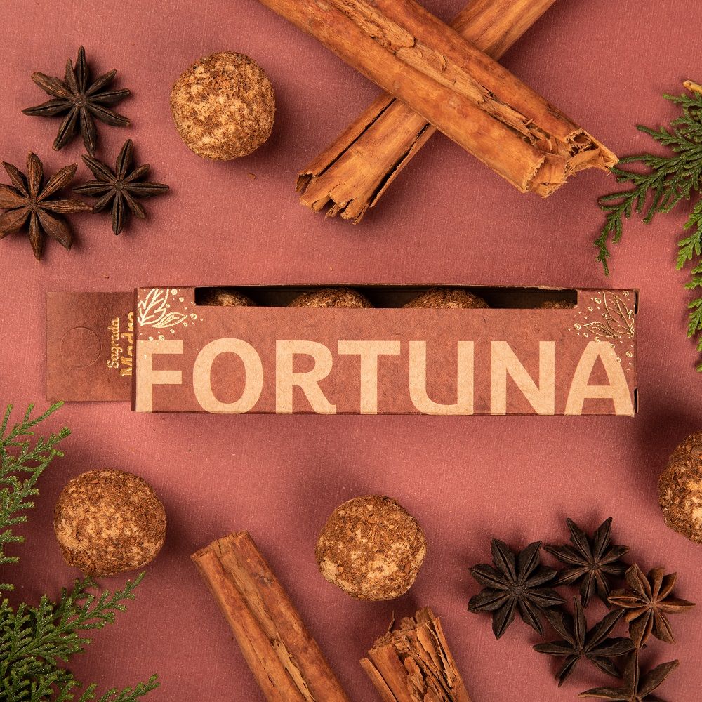 553111fortuna bombita